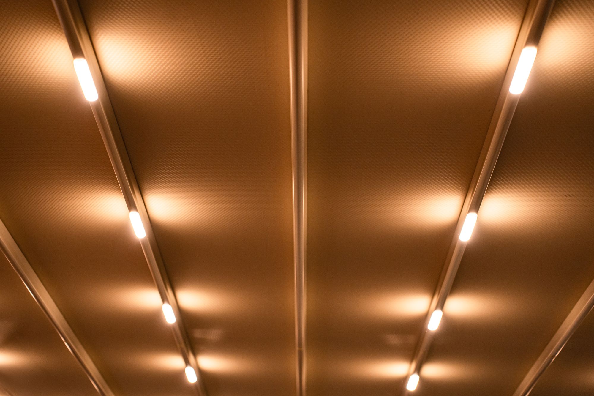 Linear LED ceiling lights casting a warm glow across a modern commercial interior